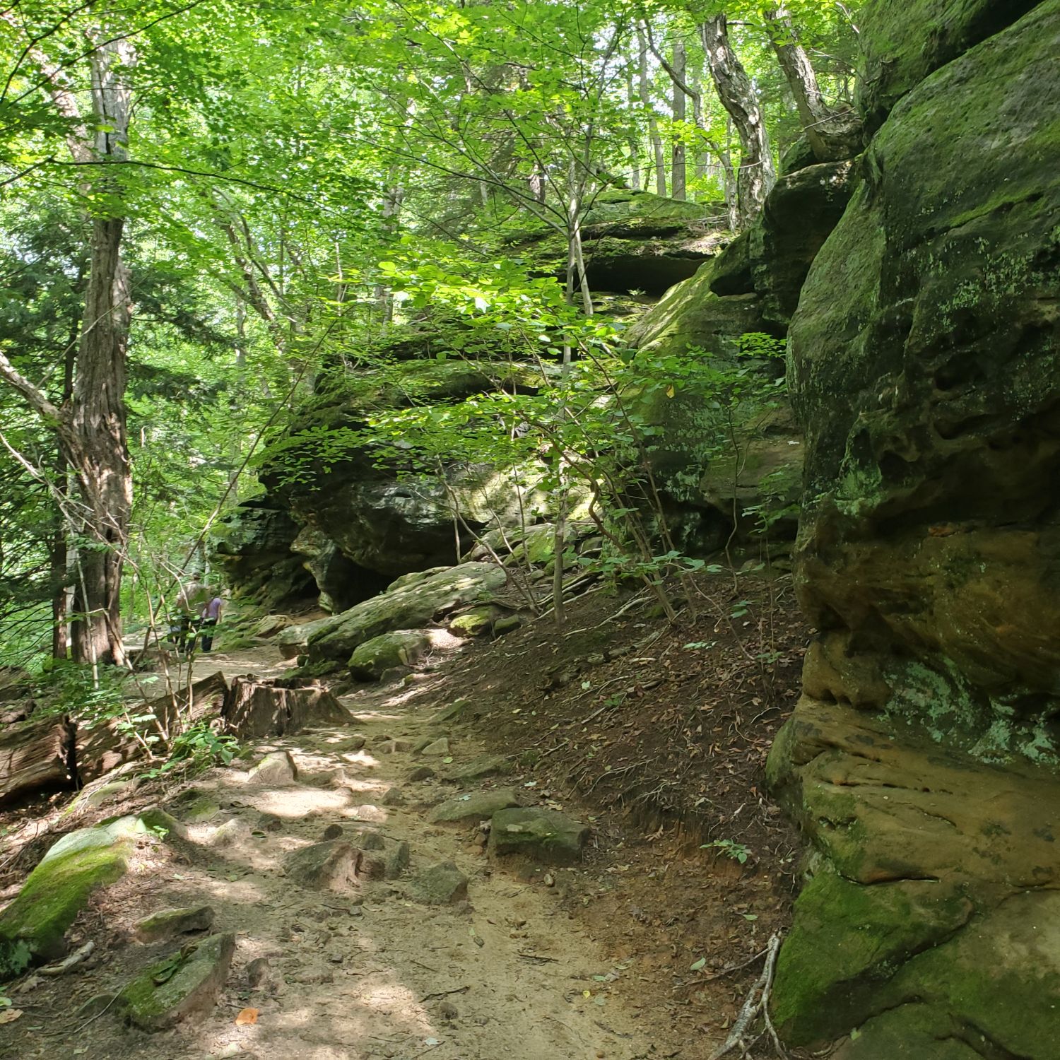 Ledges and Pine Grove Trails 